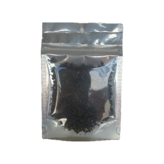 Ashanti Peppers | Temple Restoration Health Ministries - Image 2