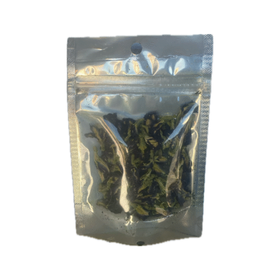 Butterfly Pea | Temple Restoration Health Ministries - Image 2