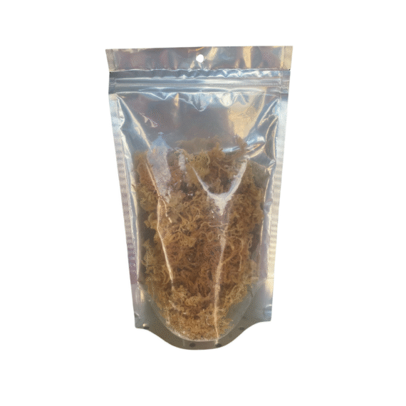 Full Spectrum Sea Moss | Raw | 1/4 lb | Temple Restoration Health Ministries - Image 2