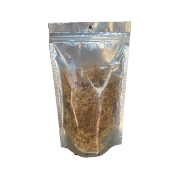 Gold Sea Moss | Raw | 1/4 lb | Temple Restoration Health Ministries - Image 2