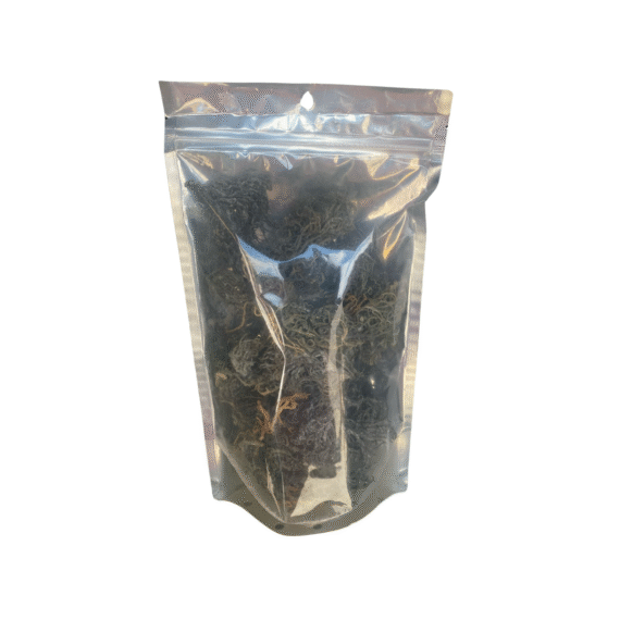 Green Sea Moss | Raw | 1/4 lb | Temple Restoration Health Ministries - Image 2